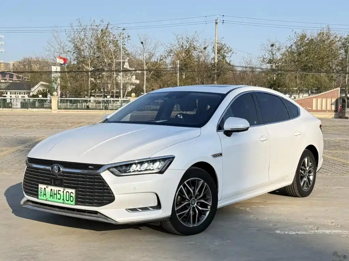 BYD QIN PRO NEW ENERGY  2021