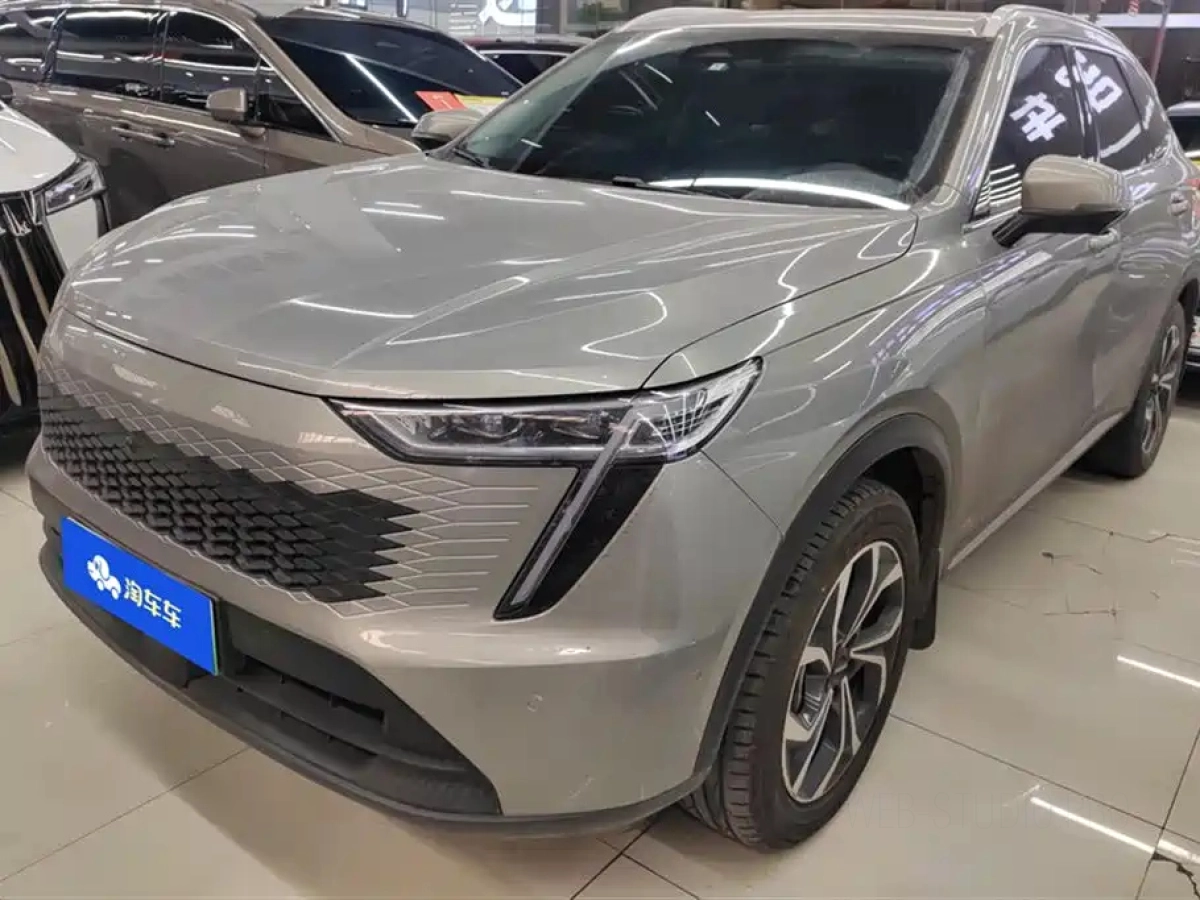 HAVAL XIAOLONG MAX  2023