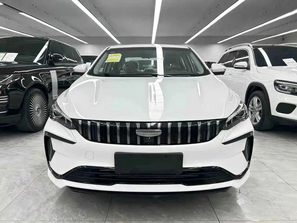 GEELY AUTO BINRUI