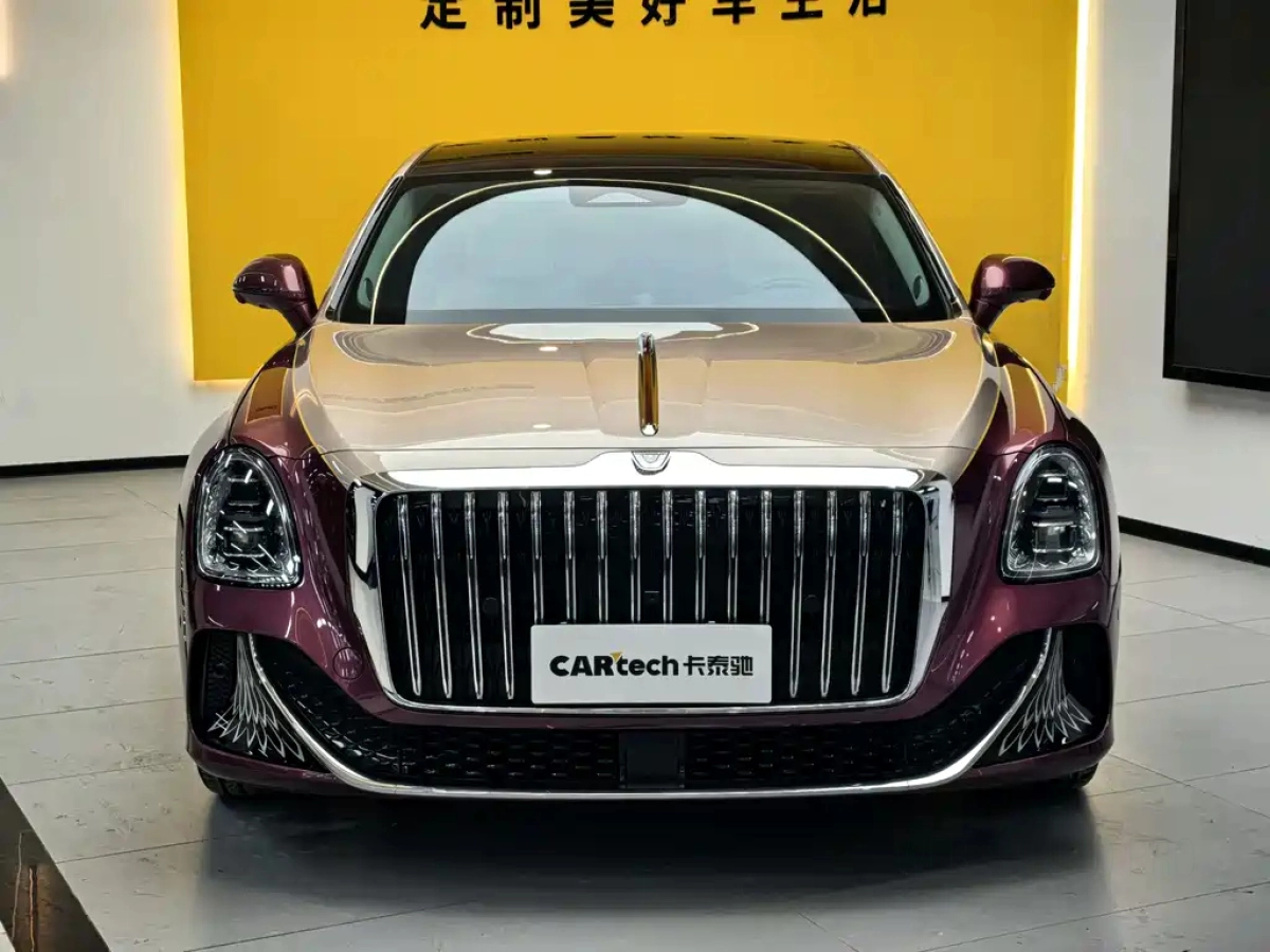 HONGQI OTHER