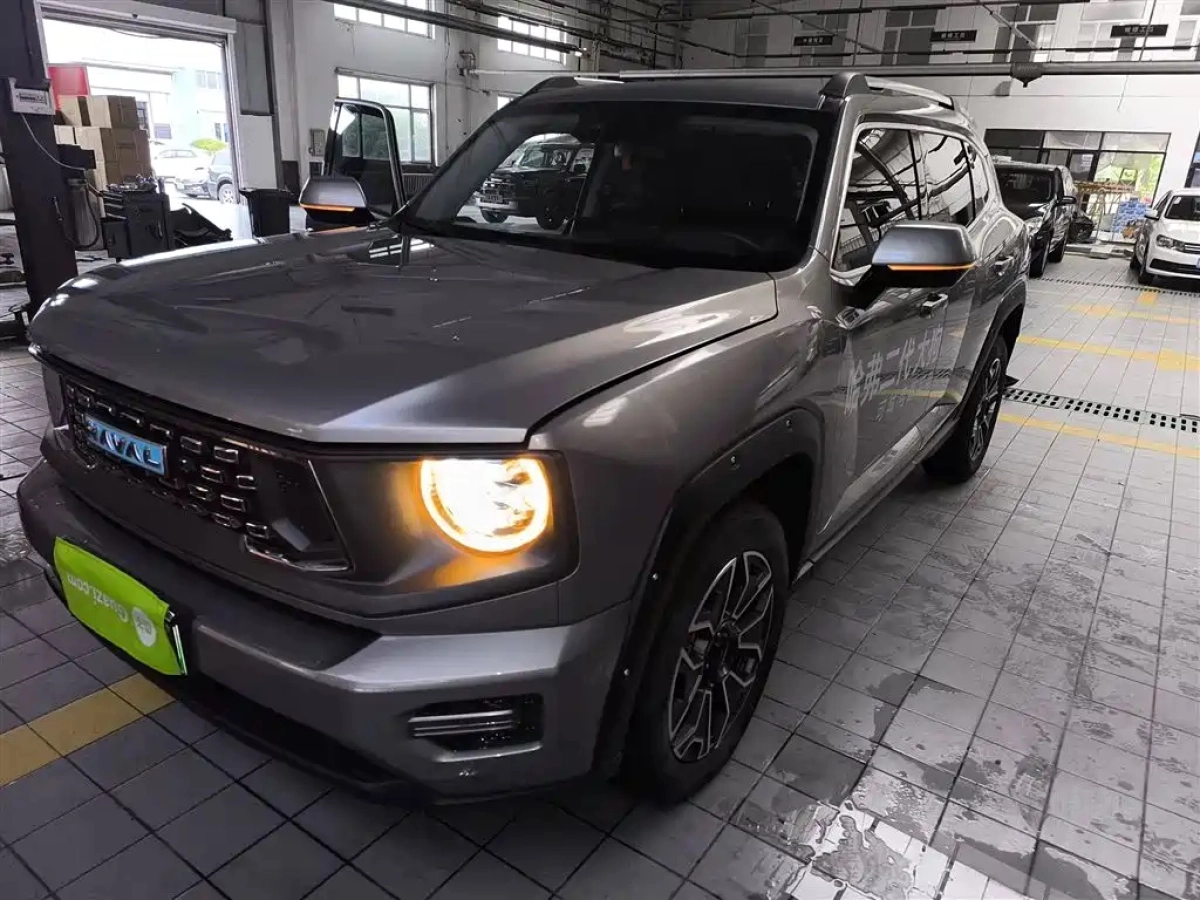 HAVAL DAGOU II NEW ENERGY