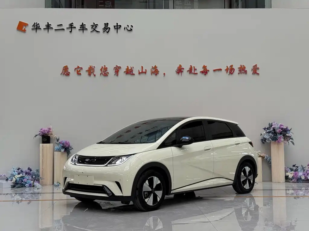 BYD DOLPHIN  2023