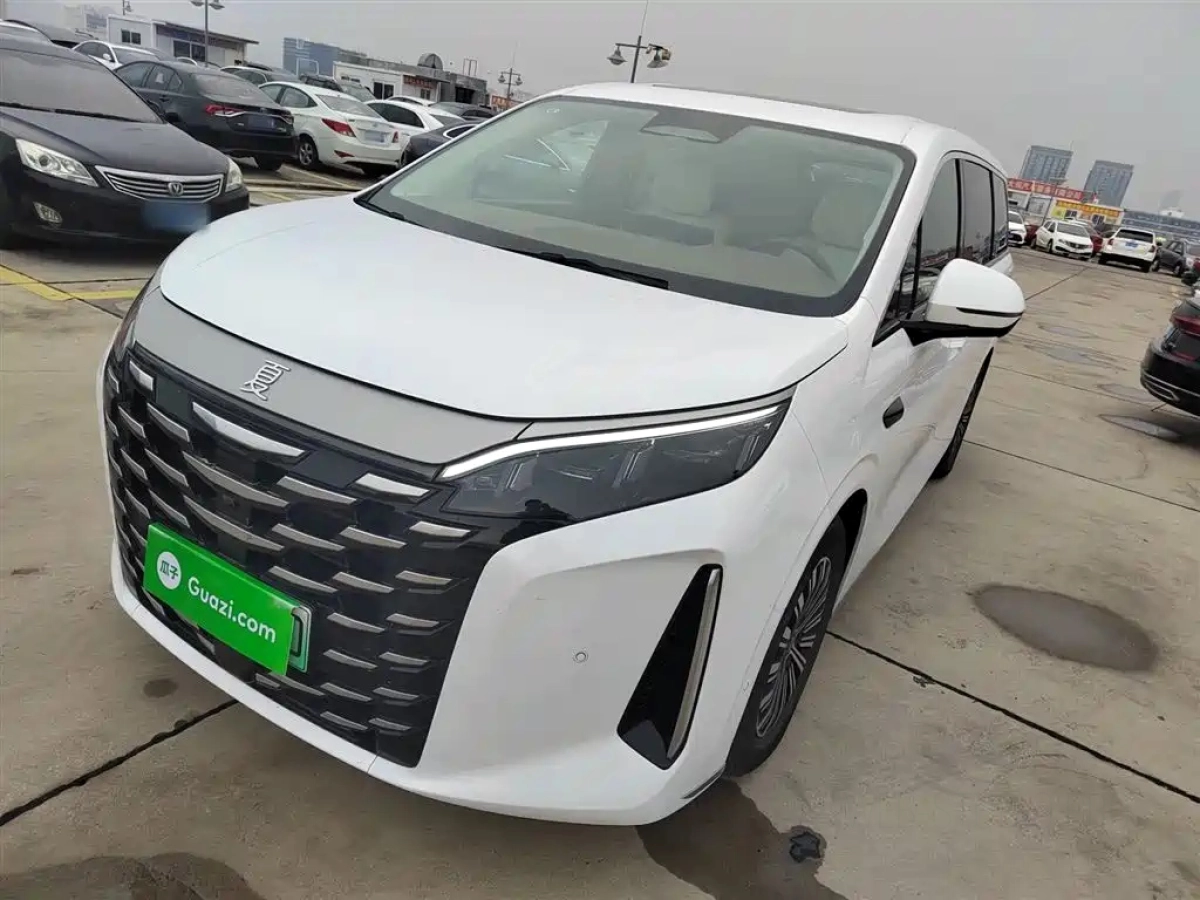 BYD XIA  2025