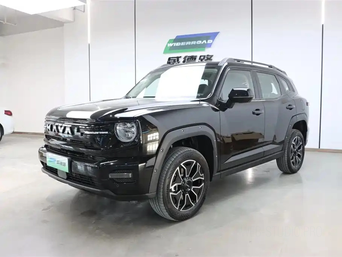 HAVAL DAGOU II NEW ENERGY  2026