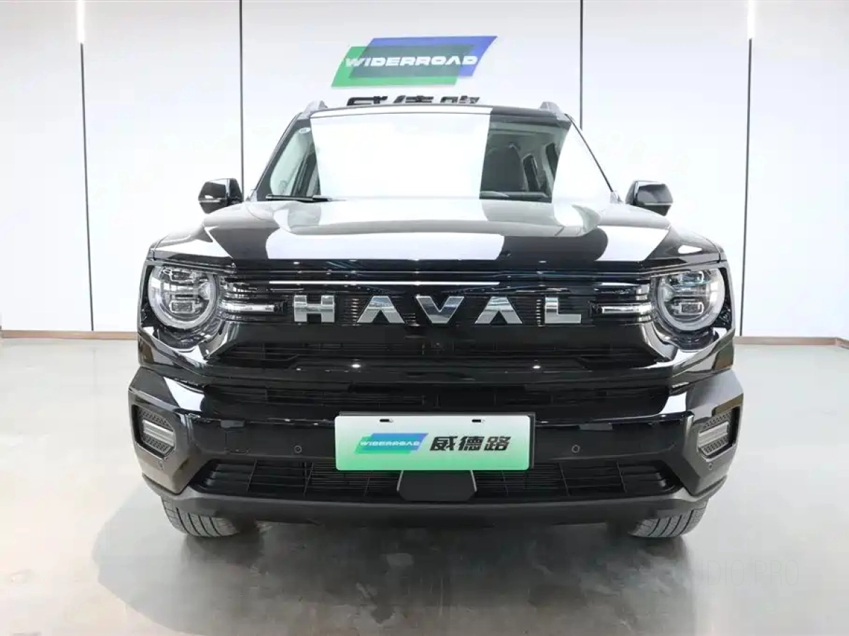 HAVAL DAGOU II NEW ENERGY