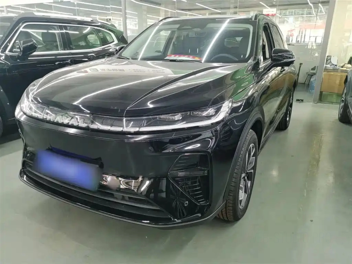 HAVAL XIAOLONG MAX  2025