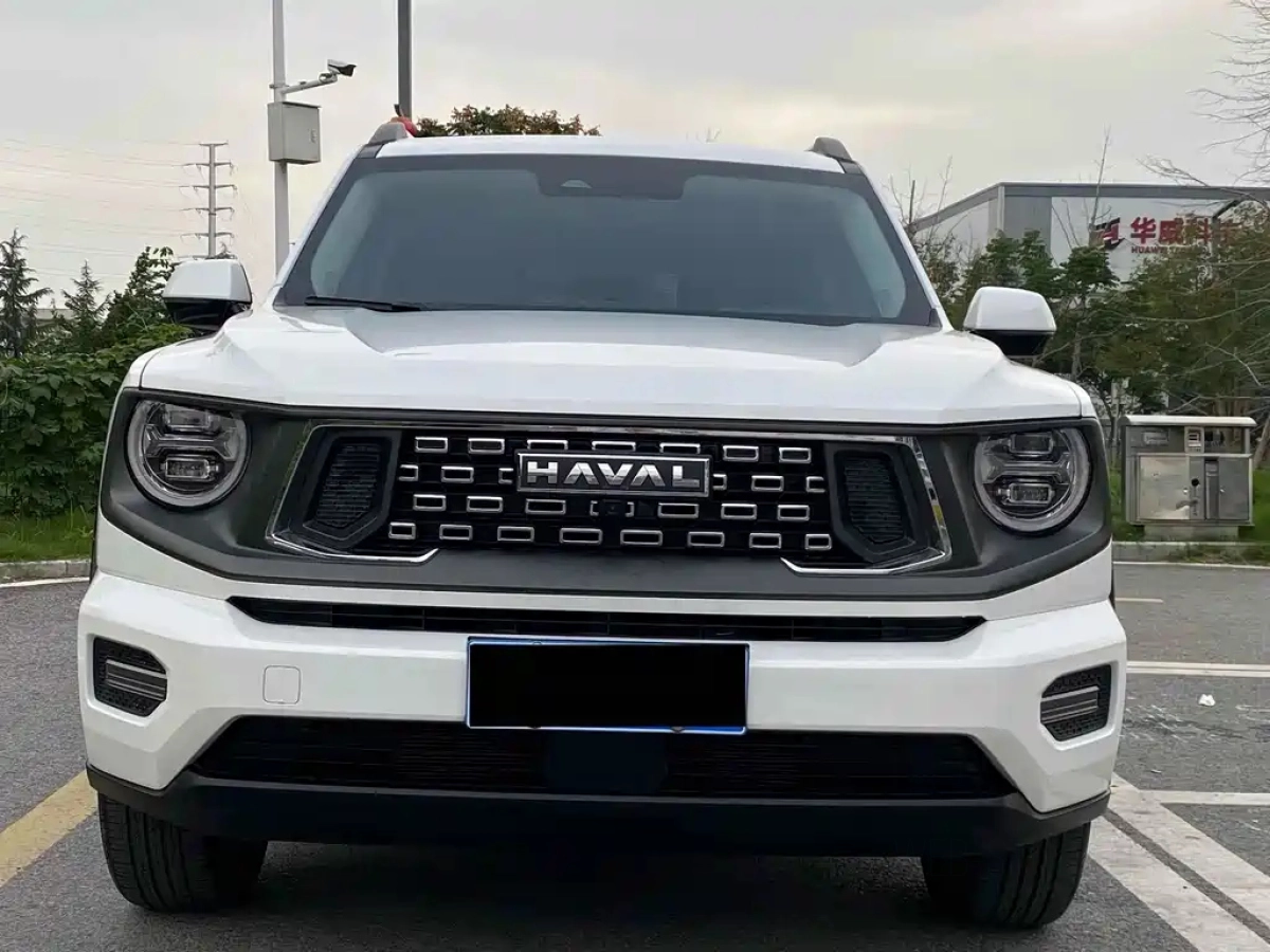 HAVAL DAGOU II