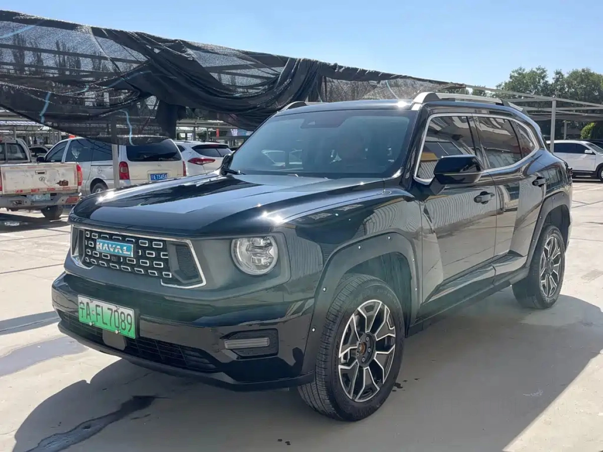 HAVAL DAGOU II NEW ENERGY  2025