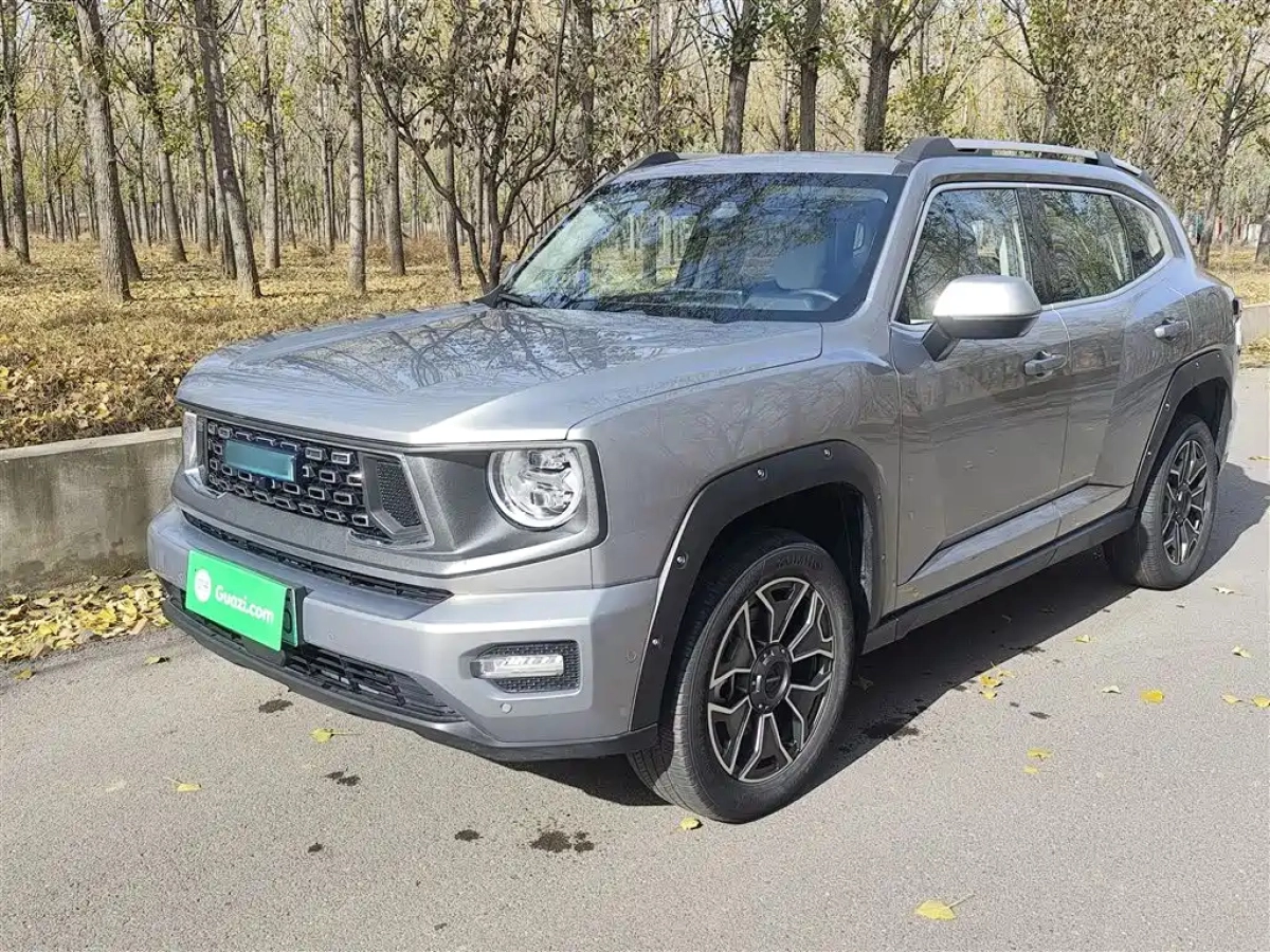 HAVAL DAGOU II NEW ENERGY