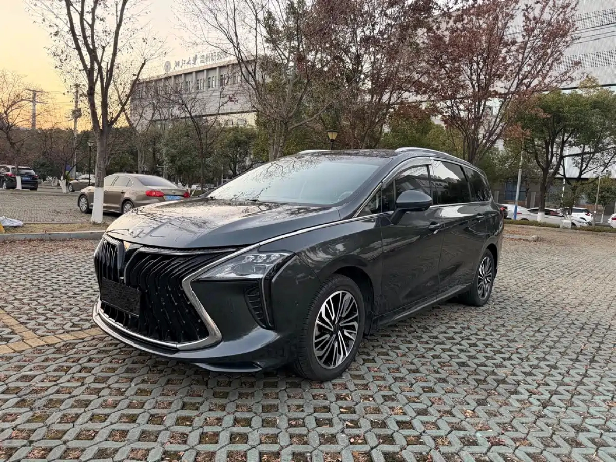 DONGFENG YACHT  2023