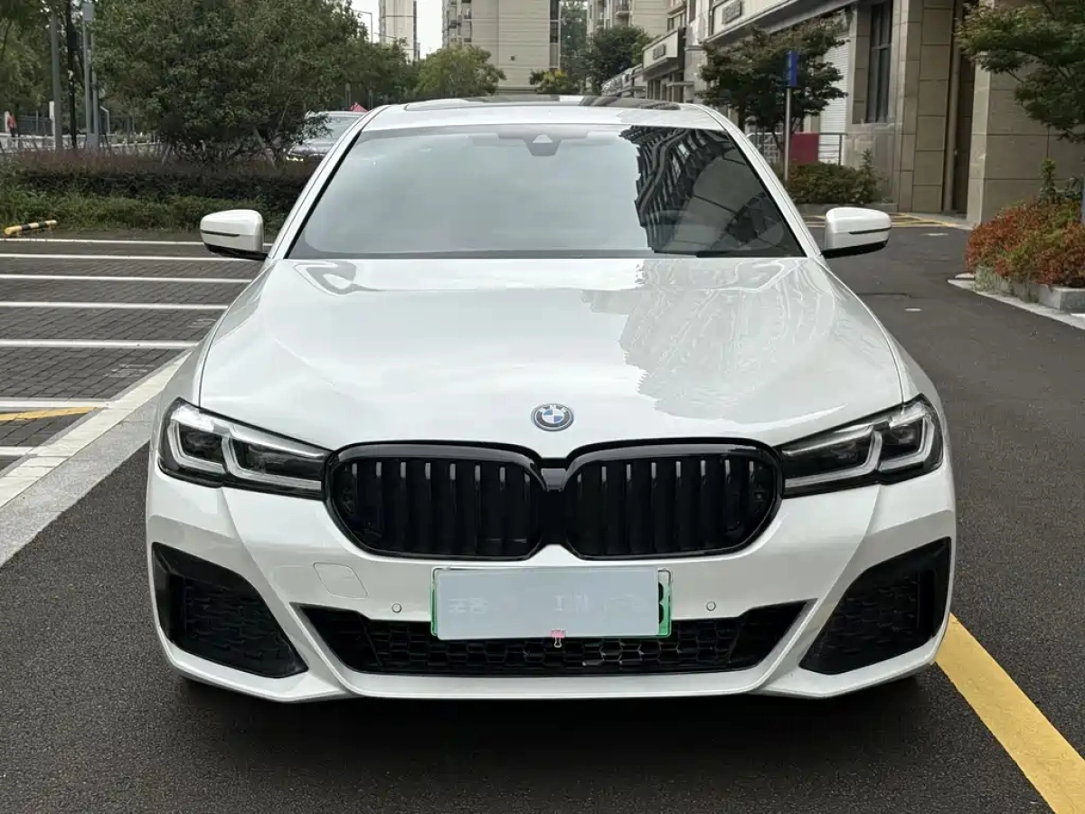 BMW 5 SERIES NEW ENERGY