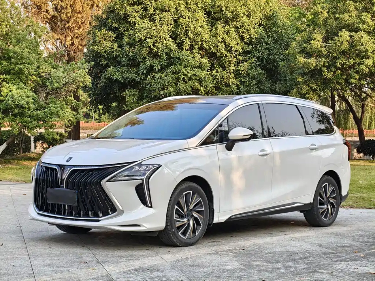 DONGFENG YACHT  2023