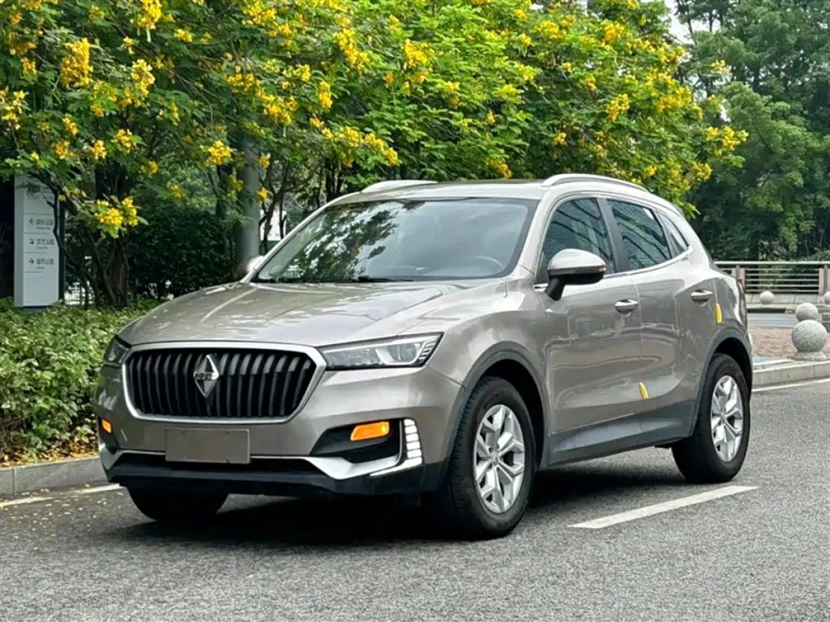 BORGWARD BX5  2019