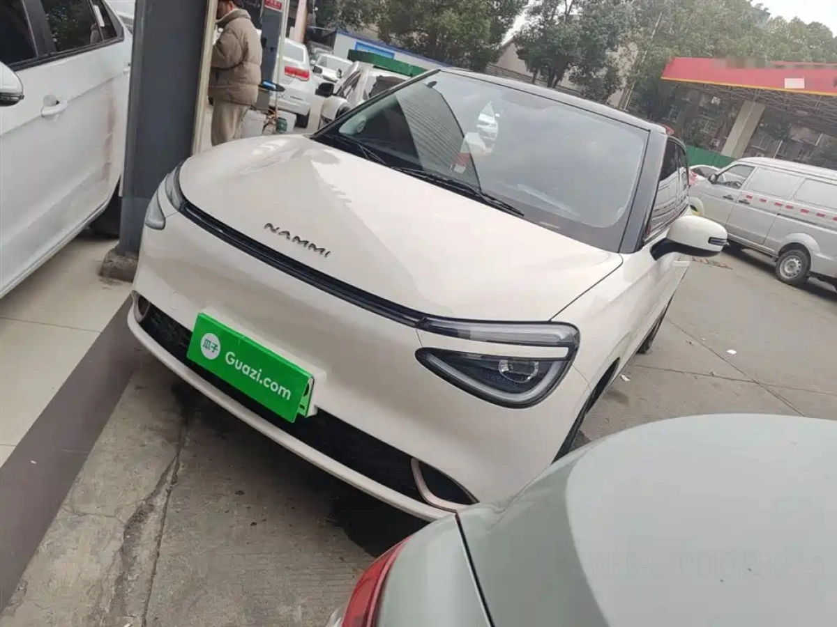 OTHER NAMMI 01  2025