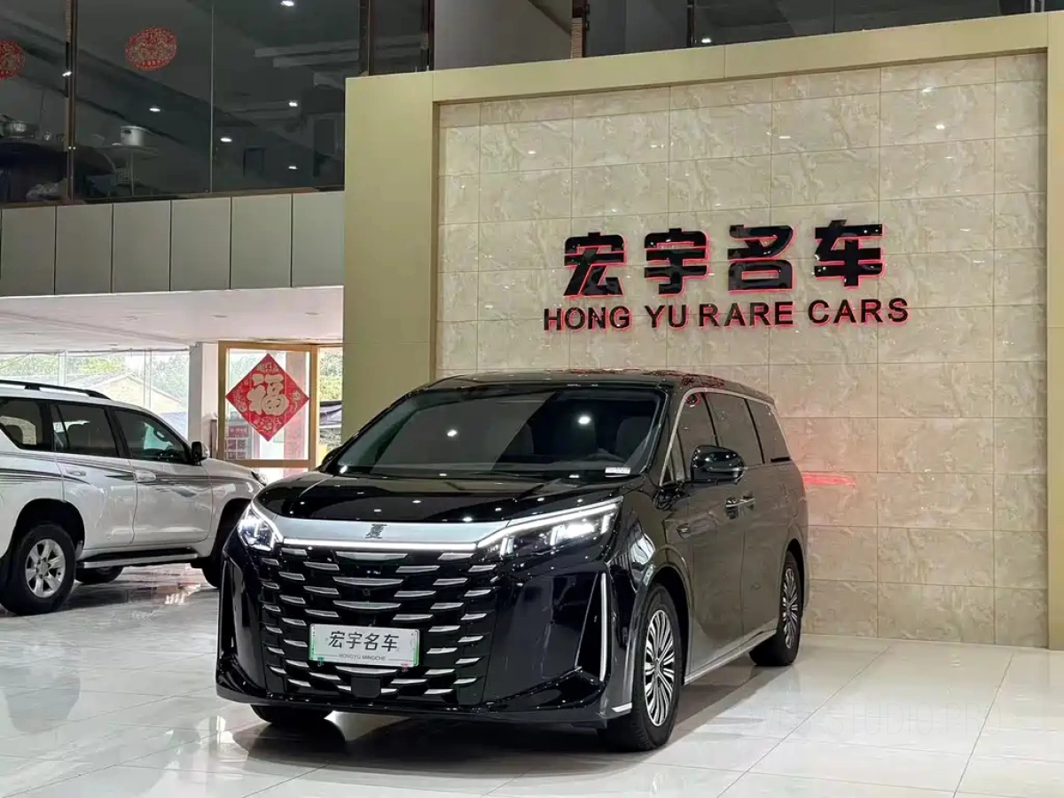BYD XIA  2025