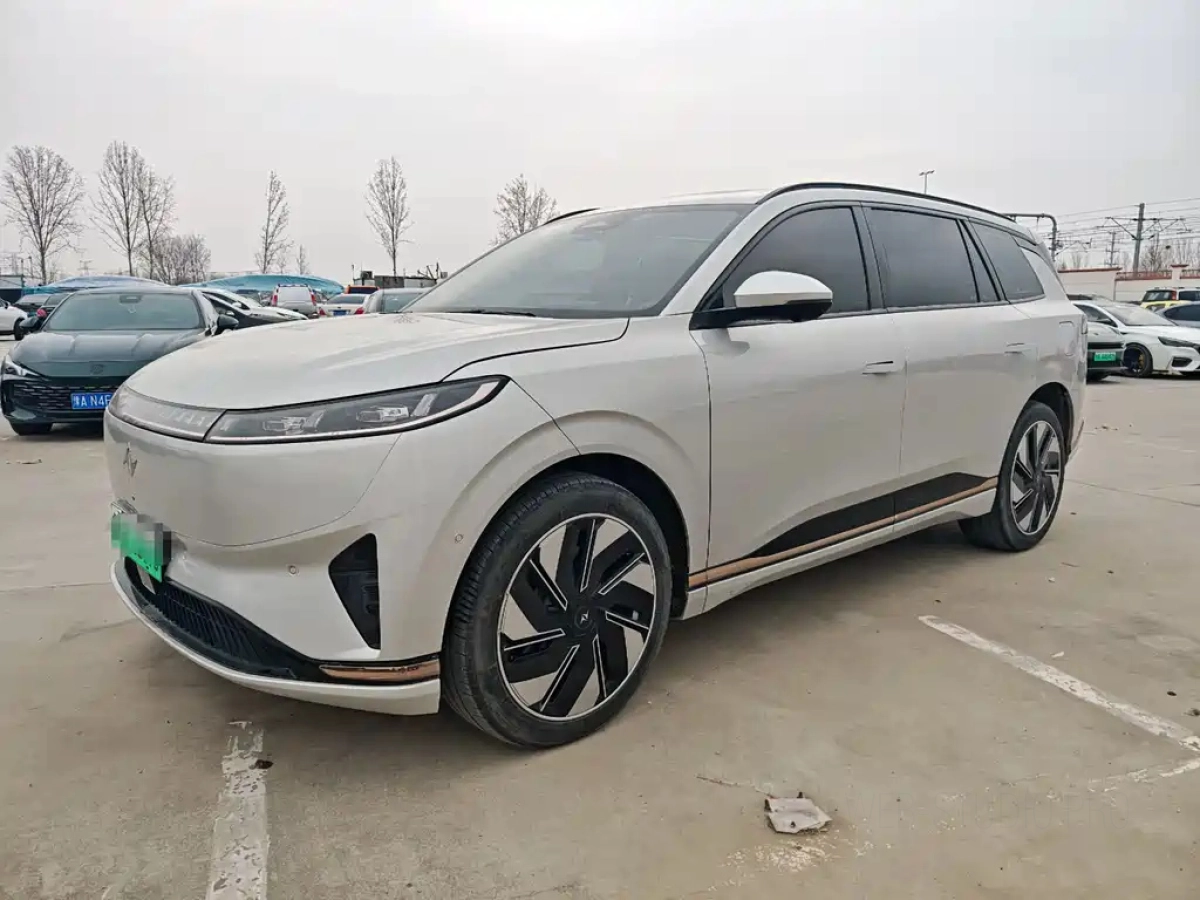 DONGFENG EP0 08  2024