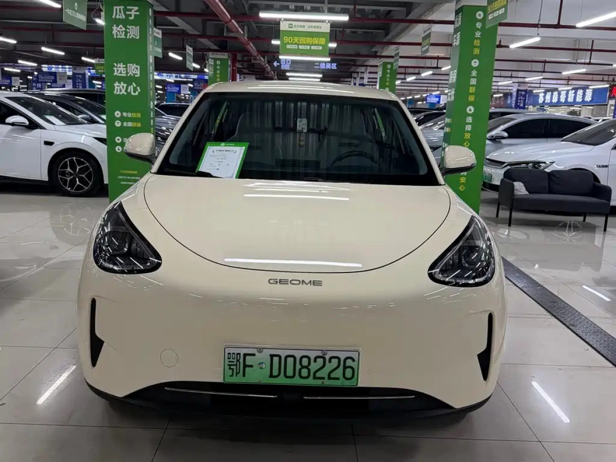 GEELY AUTO XINGYUAN