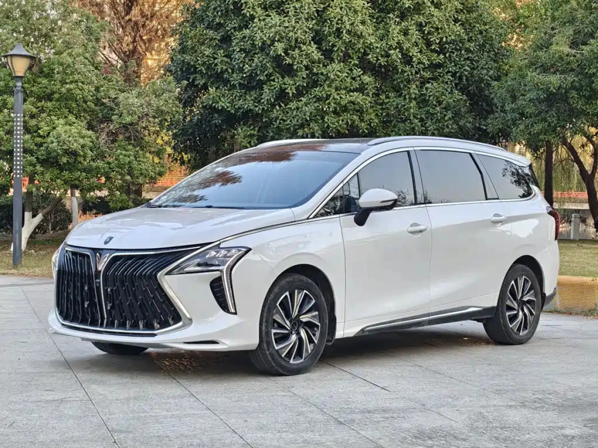 DONGFENG YACHT  2022