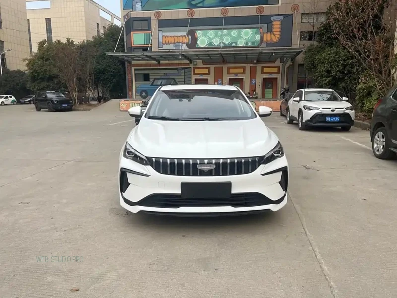 GEELY AUTO BINRUI