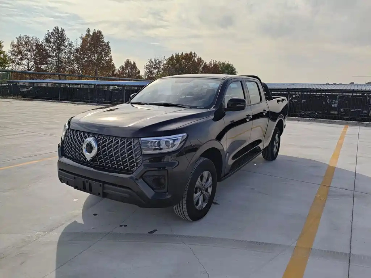 GREAT WALL POER  2025