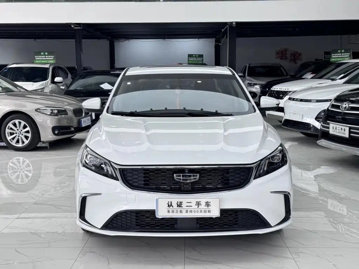 GEELY AUTO BINRUI