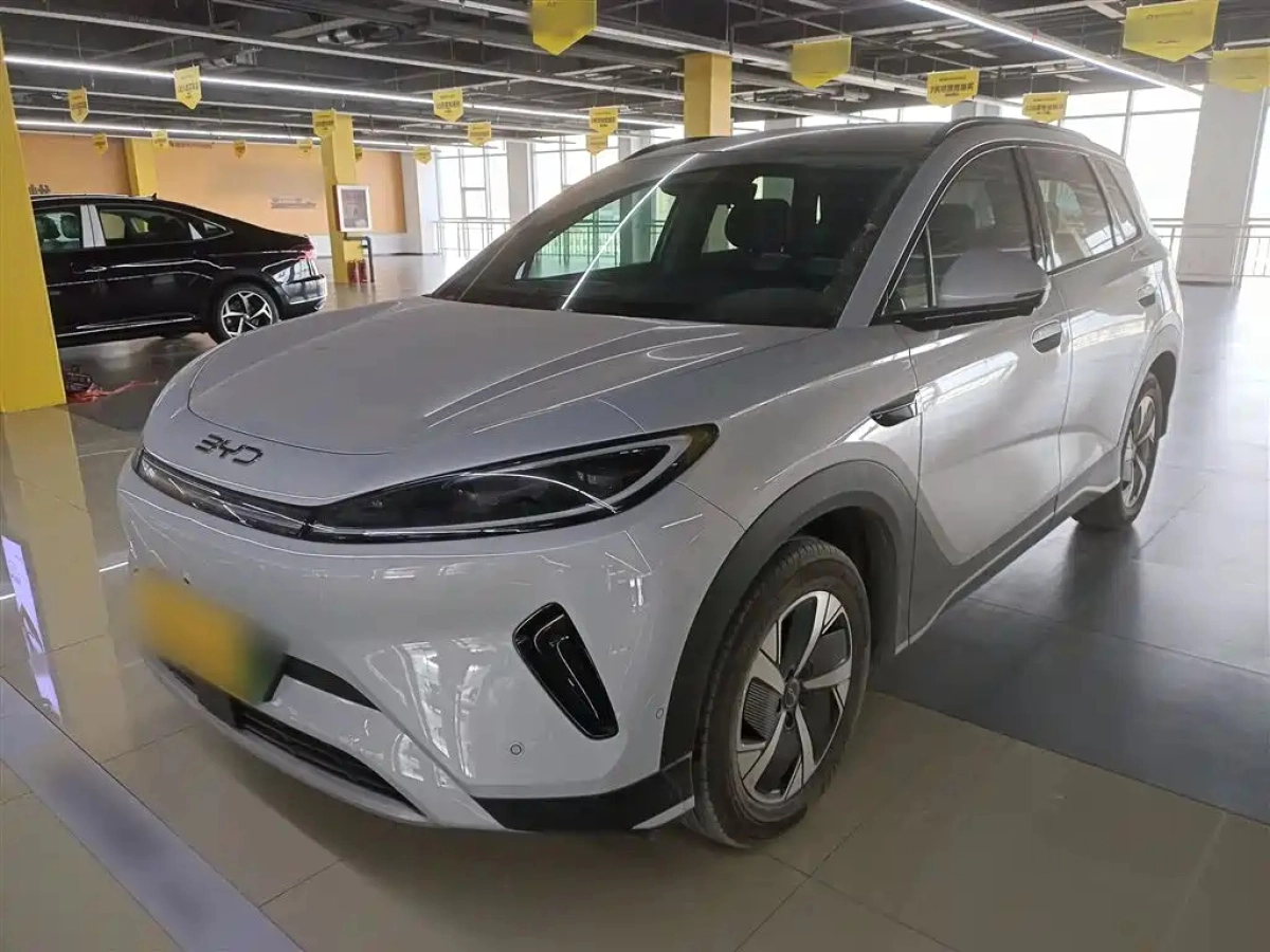 BYD OTHER  2025