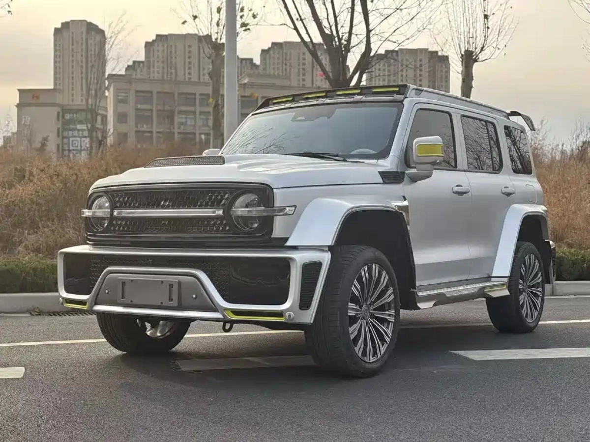 CHAOJING AUTO TANK 300  2022