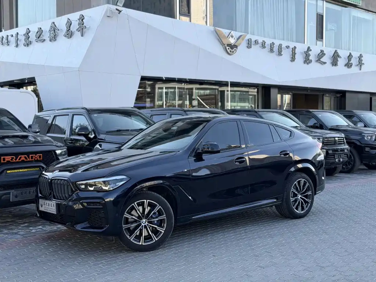 BMW X6  2023