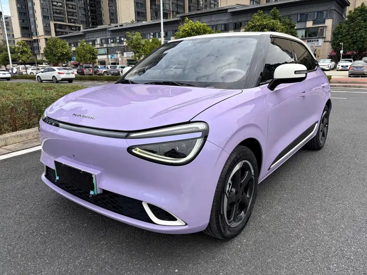 OTHER NAMMI 01  2024