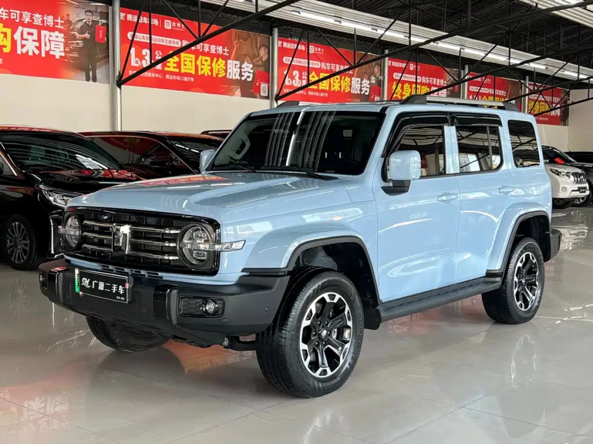 TANK 300 NEW ENERGY  2024