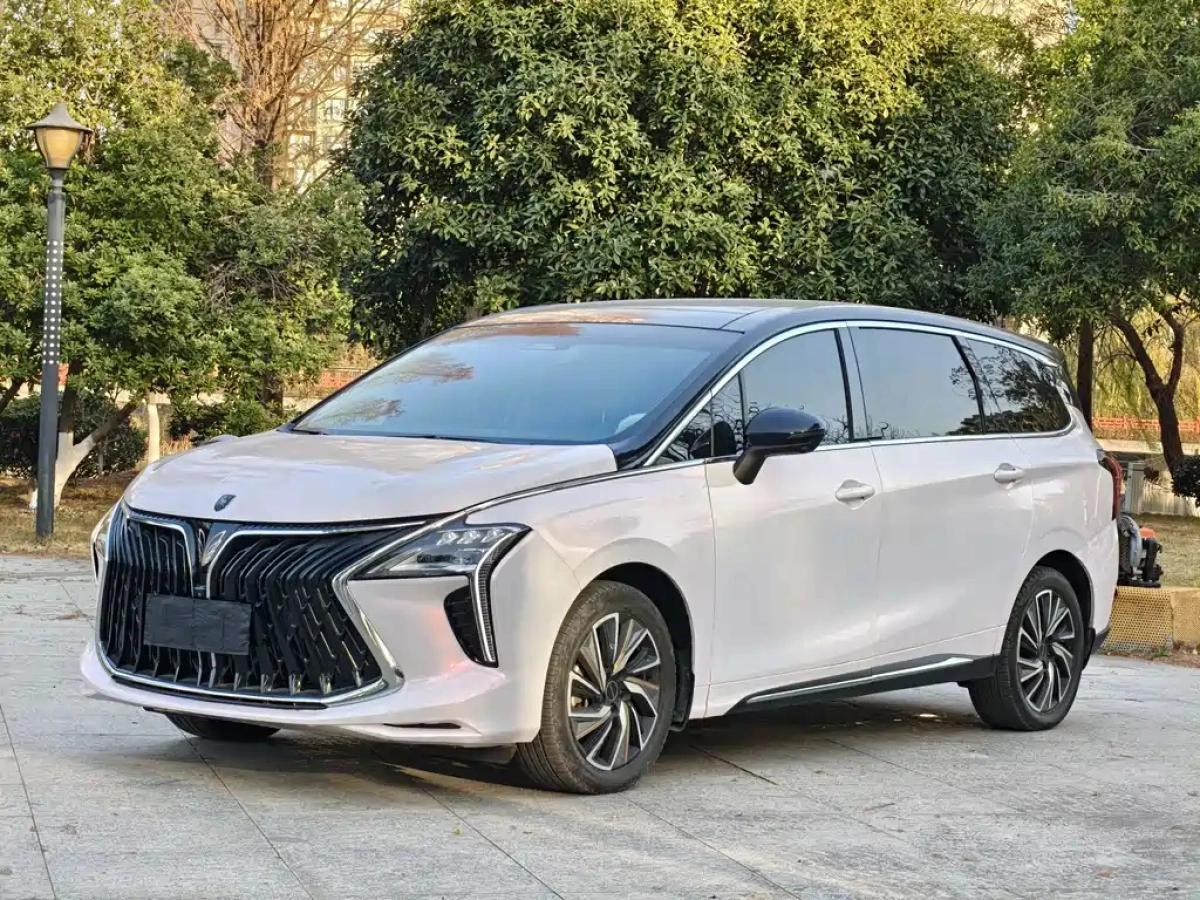 DONGFENG YACHT  2023