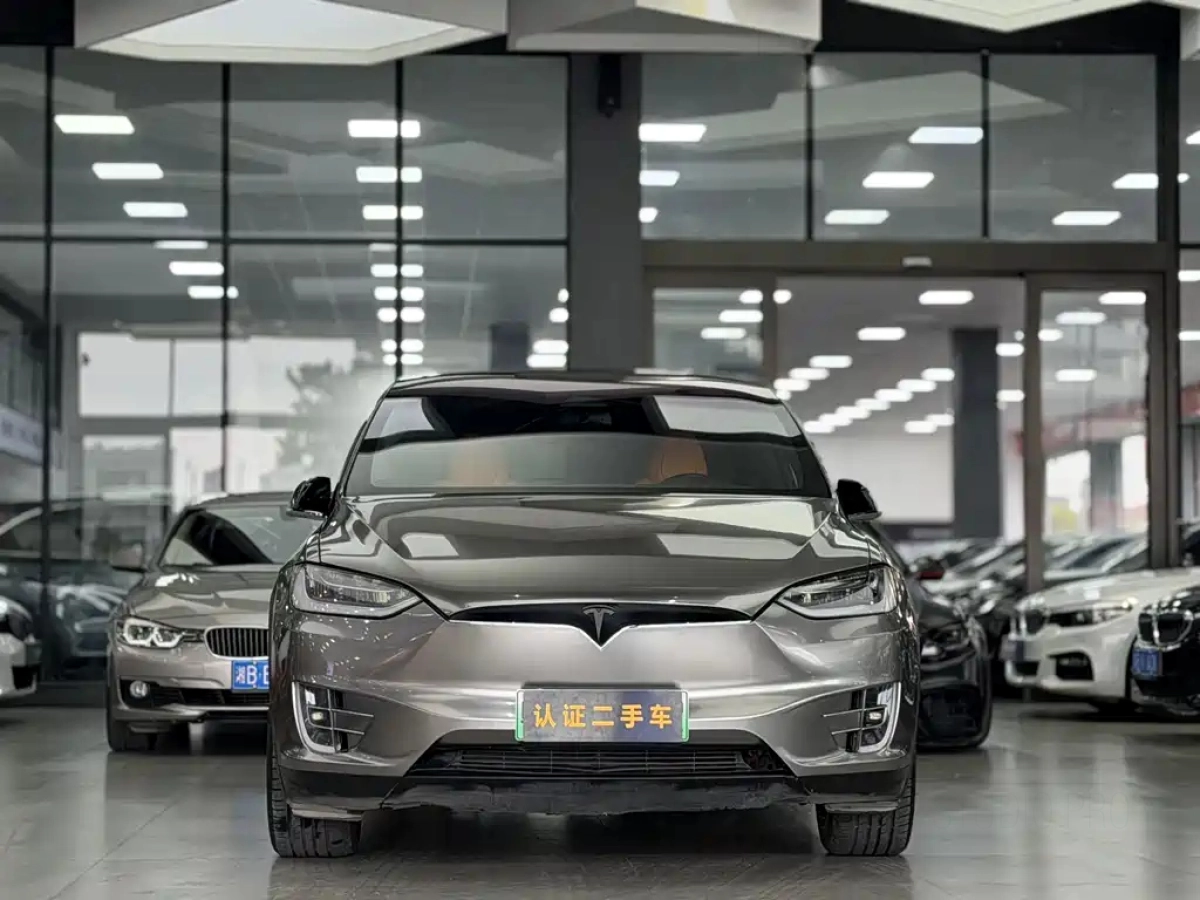 TESLA MODEL X