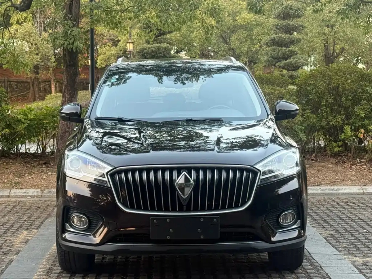 BORGWARD BX7