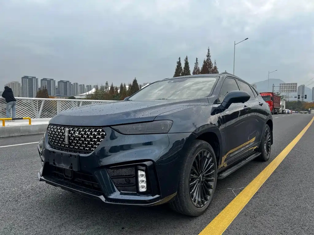 WEY VV7 NEW ENERGY  2020