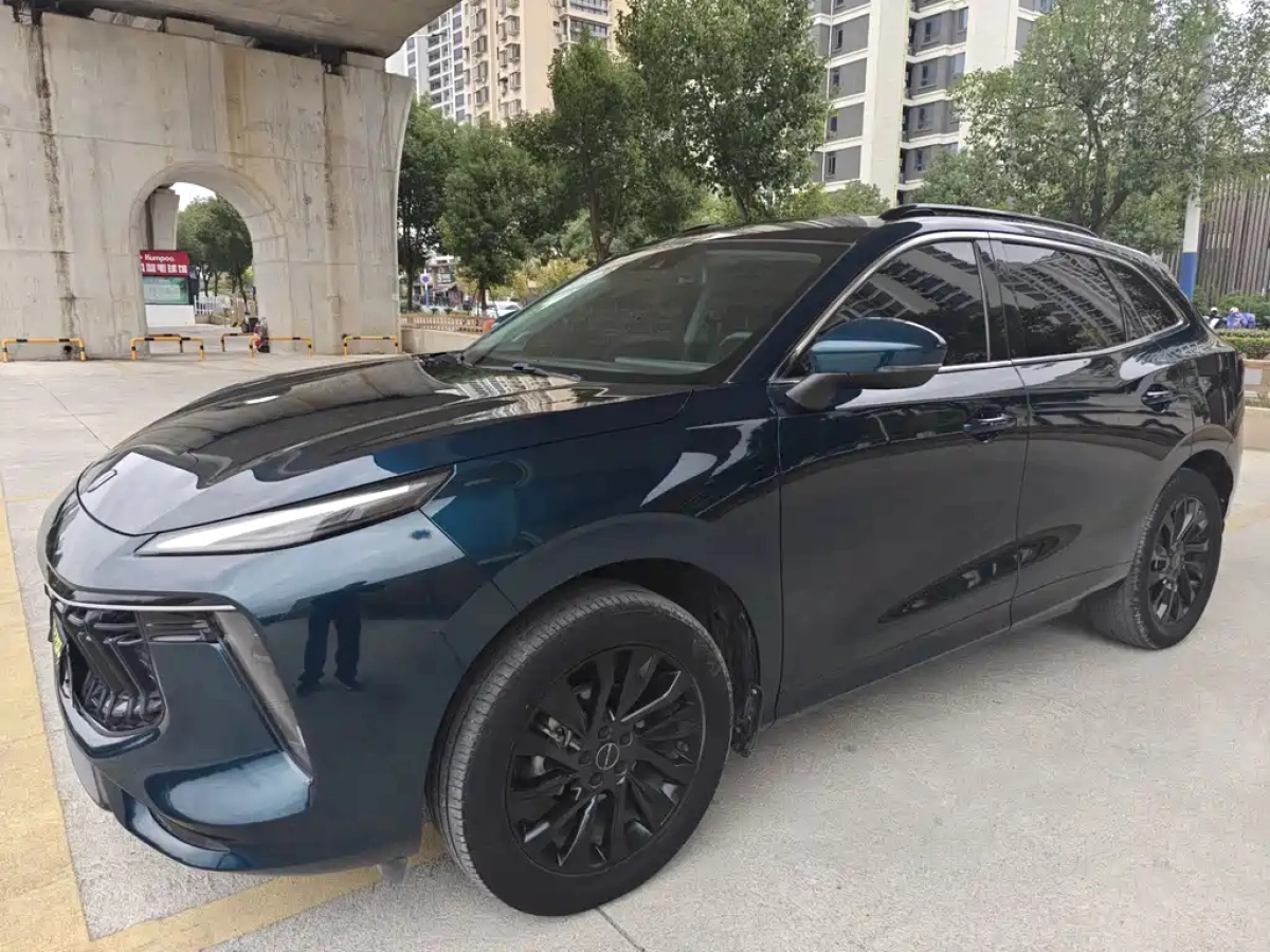 DONGFENG T5 EVO  2022