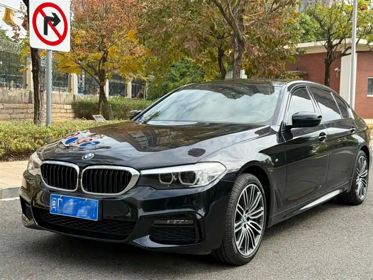 BMW 5 SERIES  2019