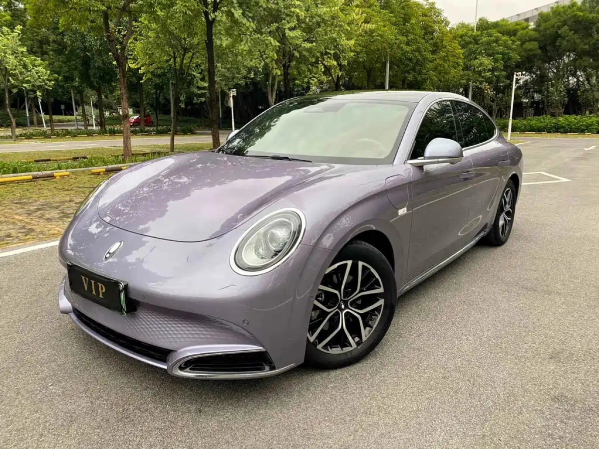 ORA LIGHTNING CAT  2024