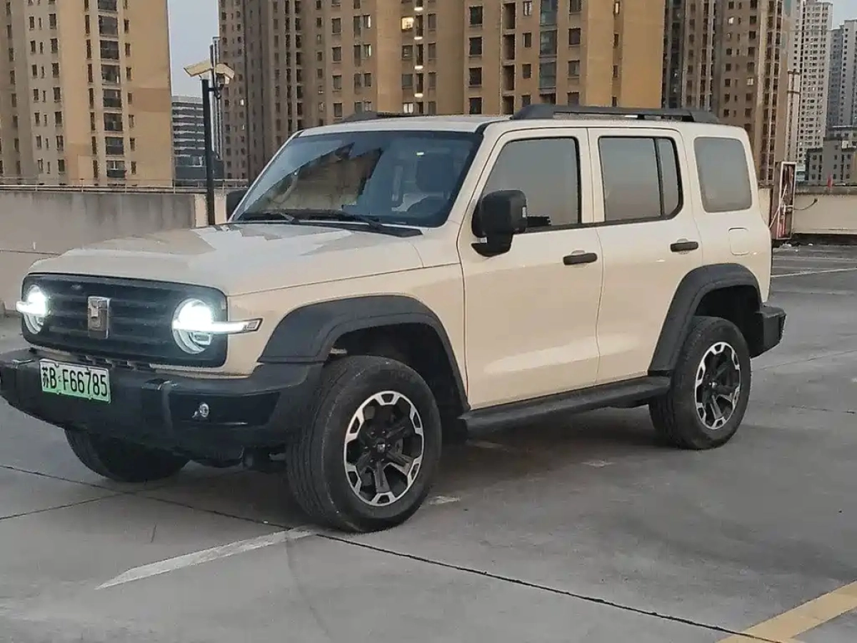 TANK 300 NEW ENERGY  2025