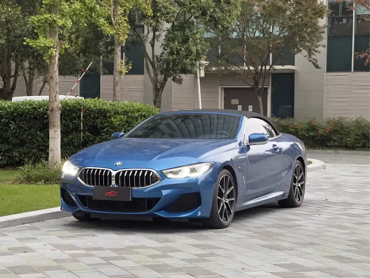 BMW 8-SERIES  2019