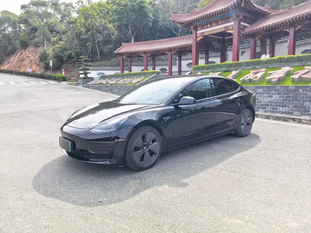 TESLA MODEL 3  2021