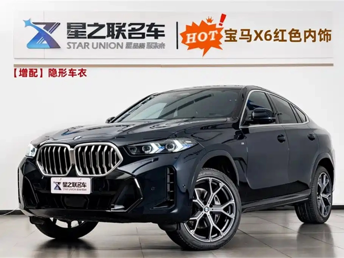 BMW X6
