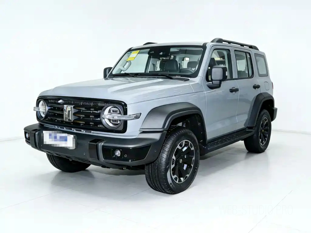 TANK 300 NEW ENERGY  2026