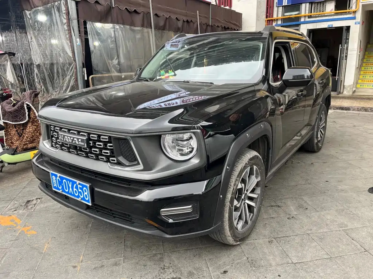 HAVAL DAGOU II