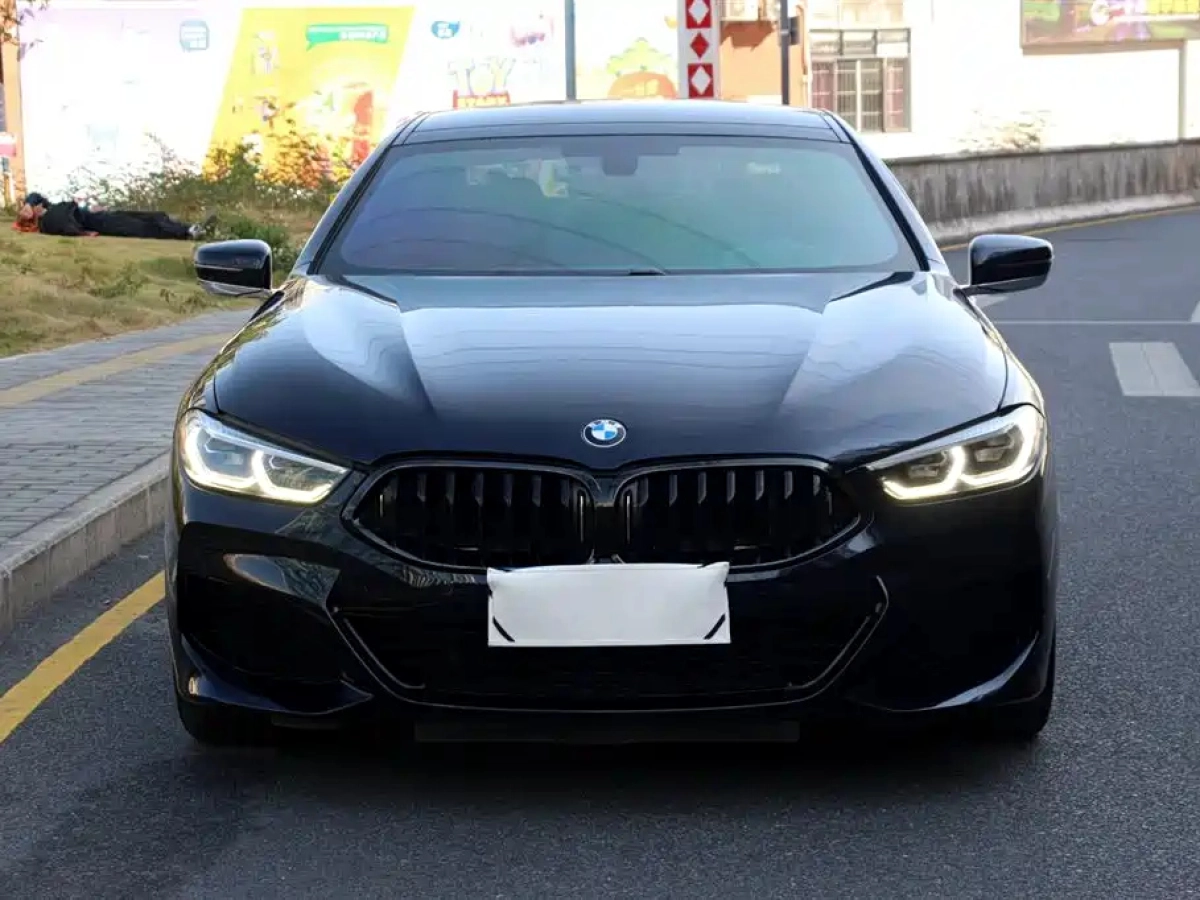 BMW 8-SERIES