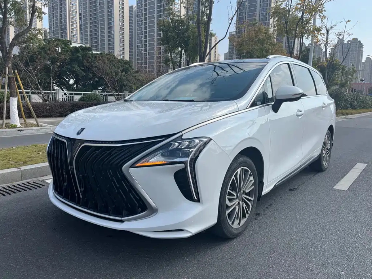 DONGFENG YACHT  2023