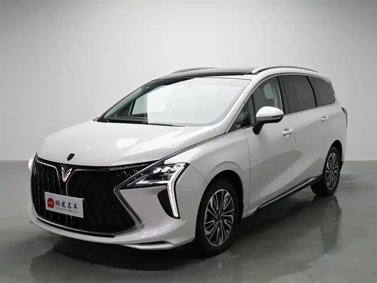 DONGFENG YACHT  2024