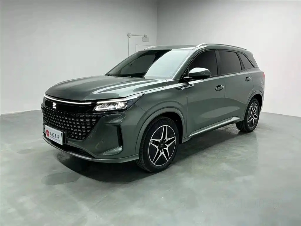 DONGFENG LAND E5  2024