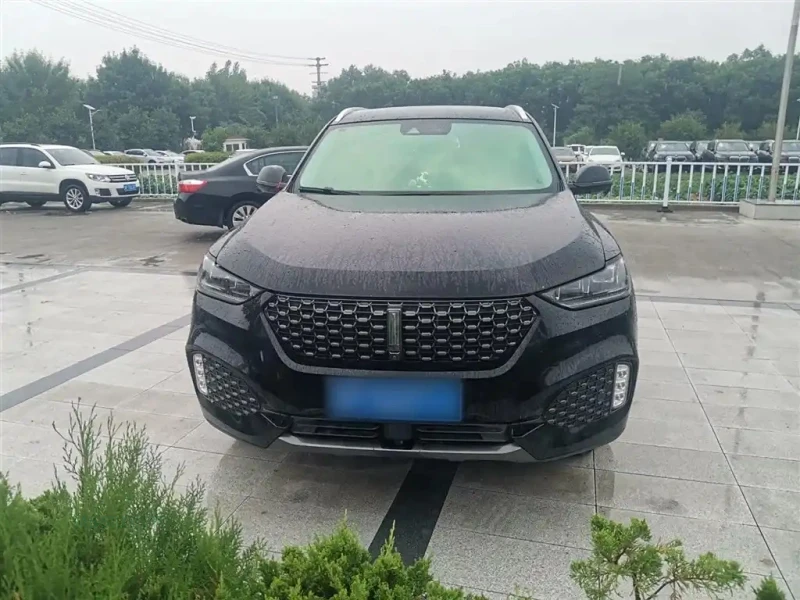 WEY VV6
