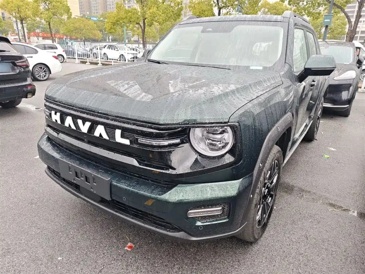 HAVAL DAGOU II NEW ENERGY  2025
