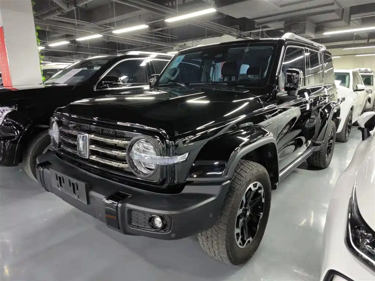 TANK 300 NEW ENERGY  2024